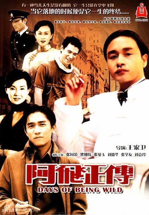 佛罗伦萨美术学院商科文凭证书